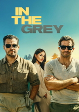 Filmplakat In the Grey